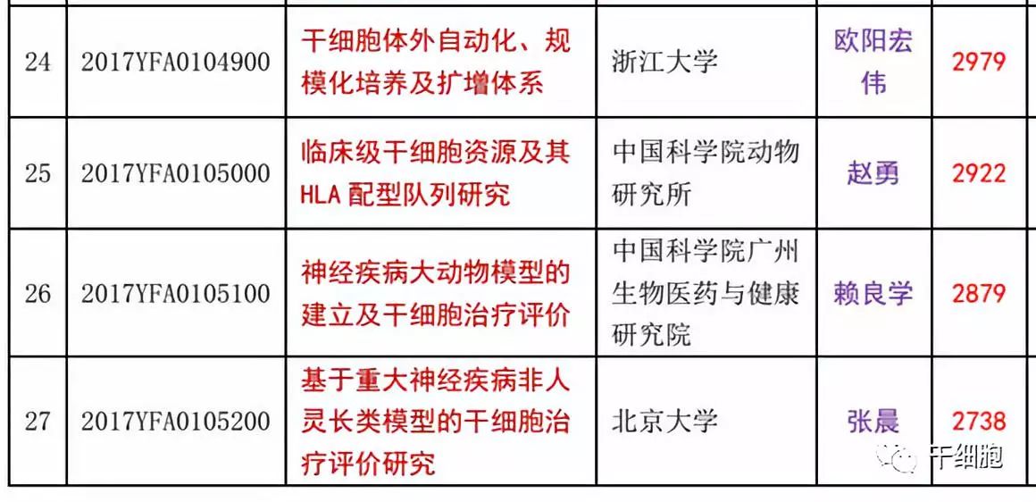 1558490307158133FuT6.jpg 8.jpg