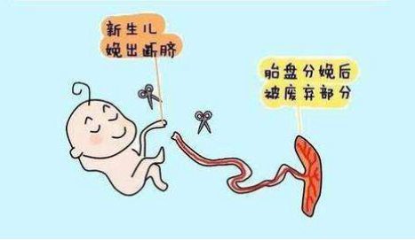 1563246348726865FcrL.png 圖片6.png